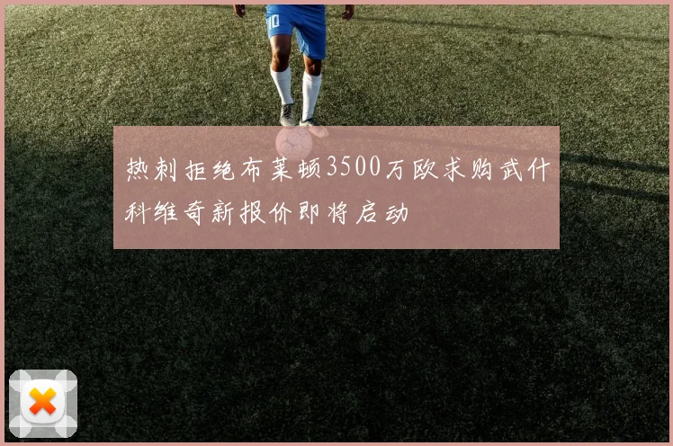 热刺拒绝布莱顿3500万欧求购武什科维奇新报价即将启动