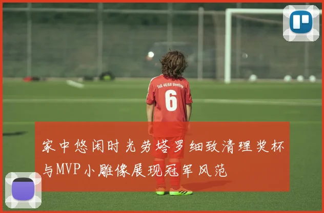 家中悠闲时光劳塔罗细致清理奖杯与MVP小雕像展现冠军风范